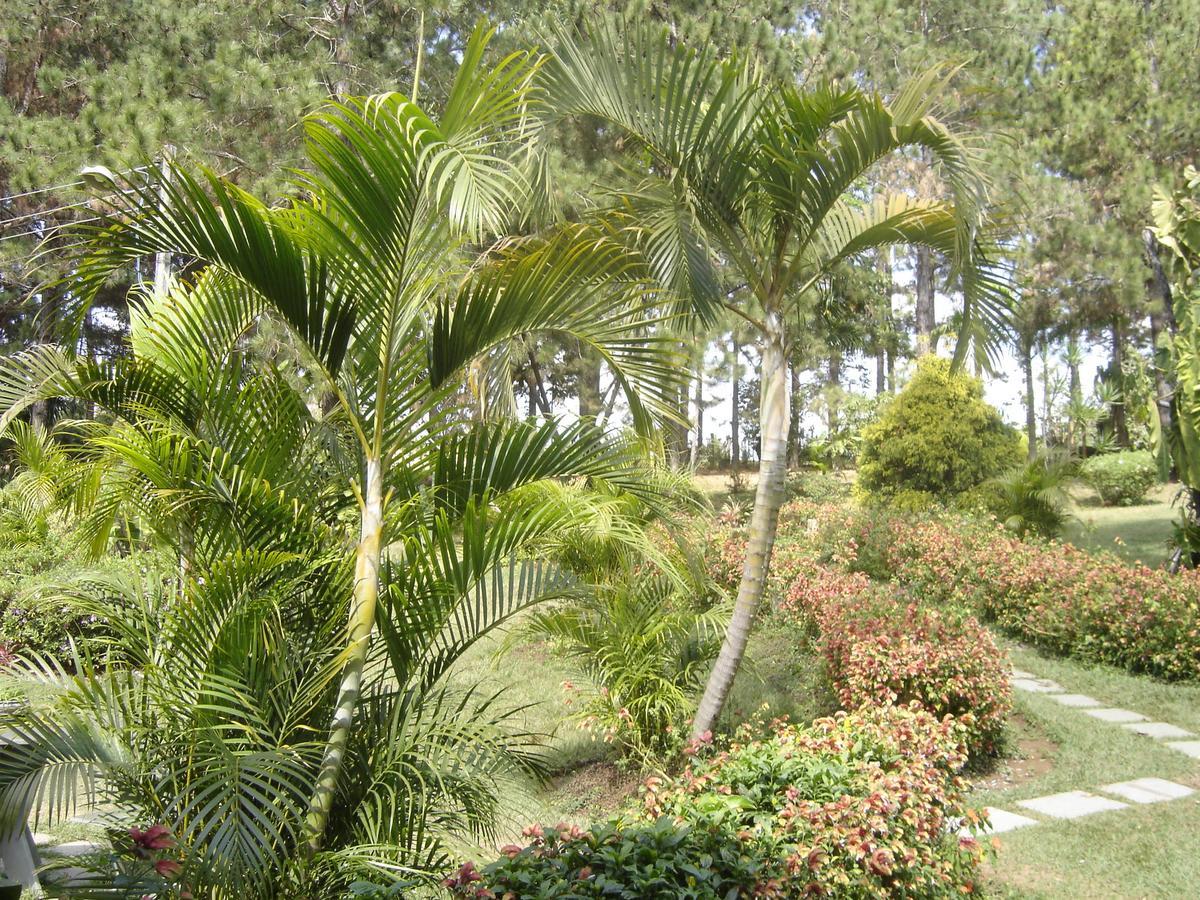 Estalagem Fazenda Lazer Guest House Carandaí Exterior photo